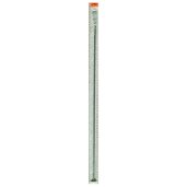 Auger
