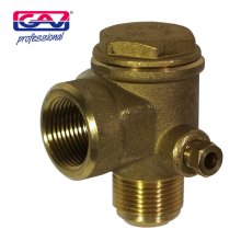 Gav Non-Return Valve 1/2" - M/F Bx16vrn114