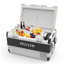 Frozen Cooler FC-100