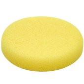 Sponges