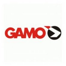 Gamo CF30 Breech Seal