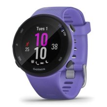 Garmin Forerunner 45S Iris Watch