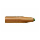 Gun Care & Accessories